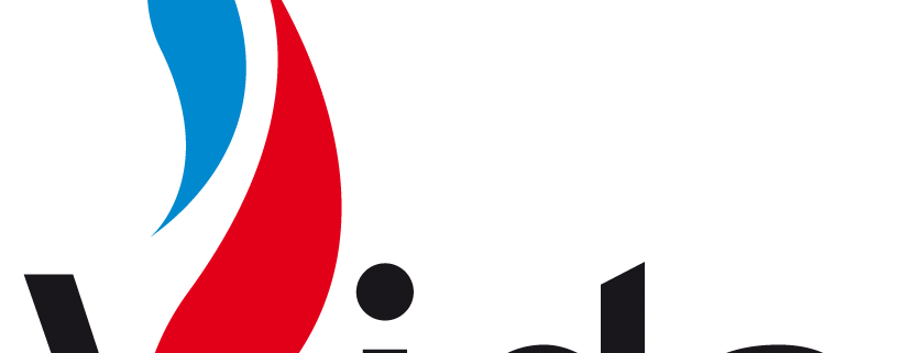 Ing. Günter Vida Logo